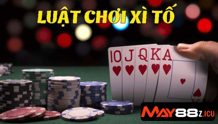 Xì tố 7 cây