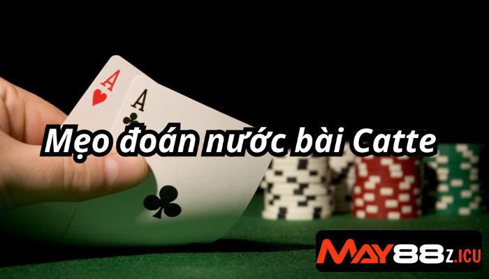 cách đoán nước bài catte