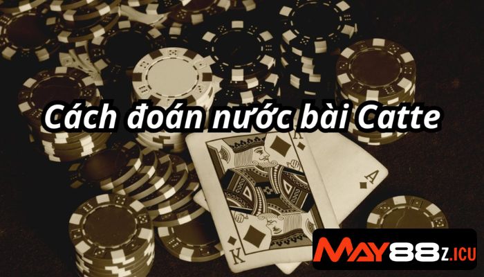 cách đoán nước bài catte